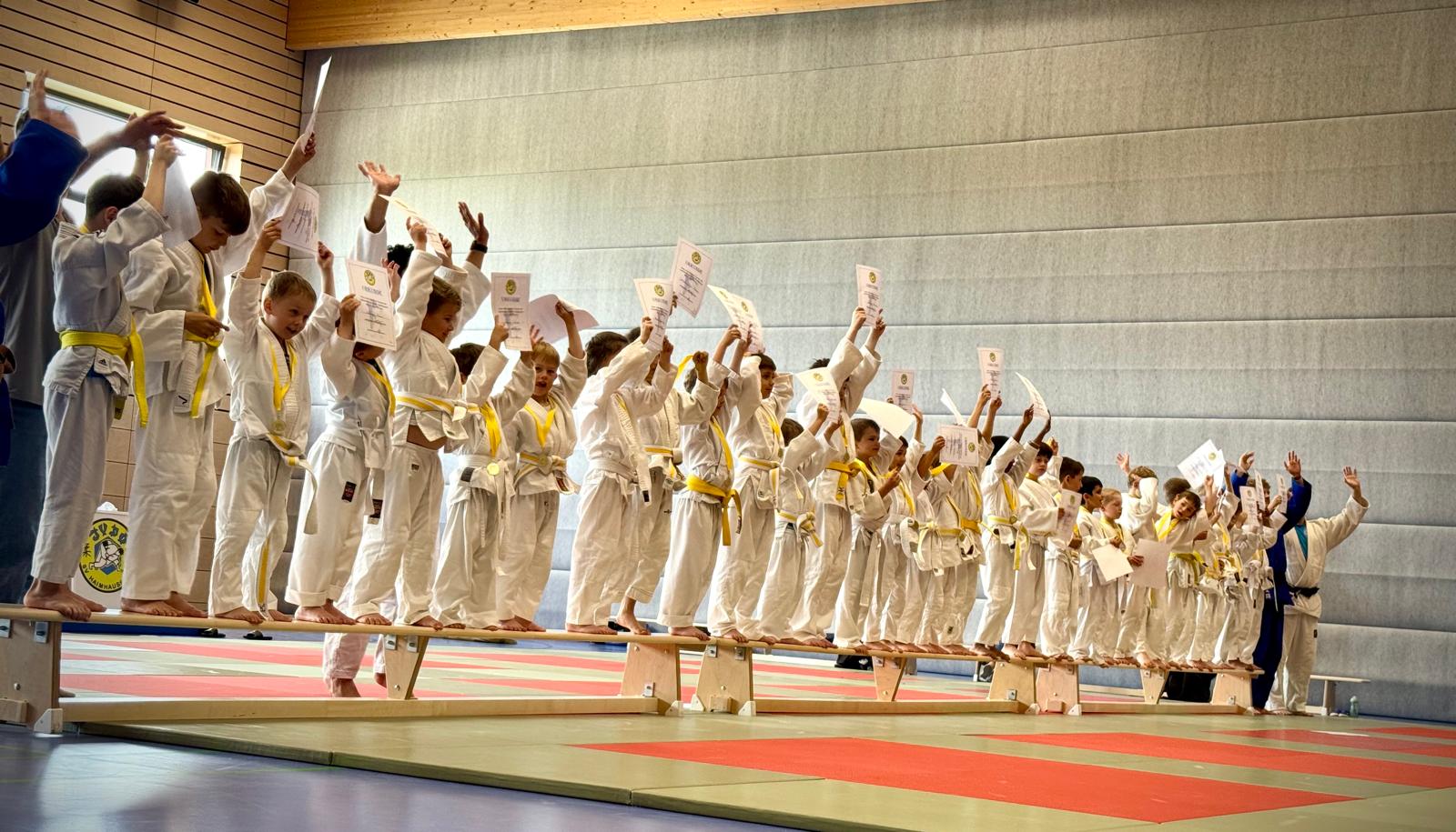 <strong>Erstes Bambini-Turnier: Judo für die Kleinsten</strong>