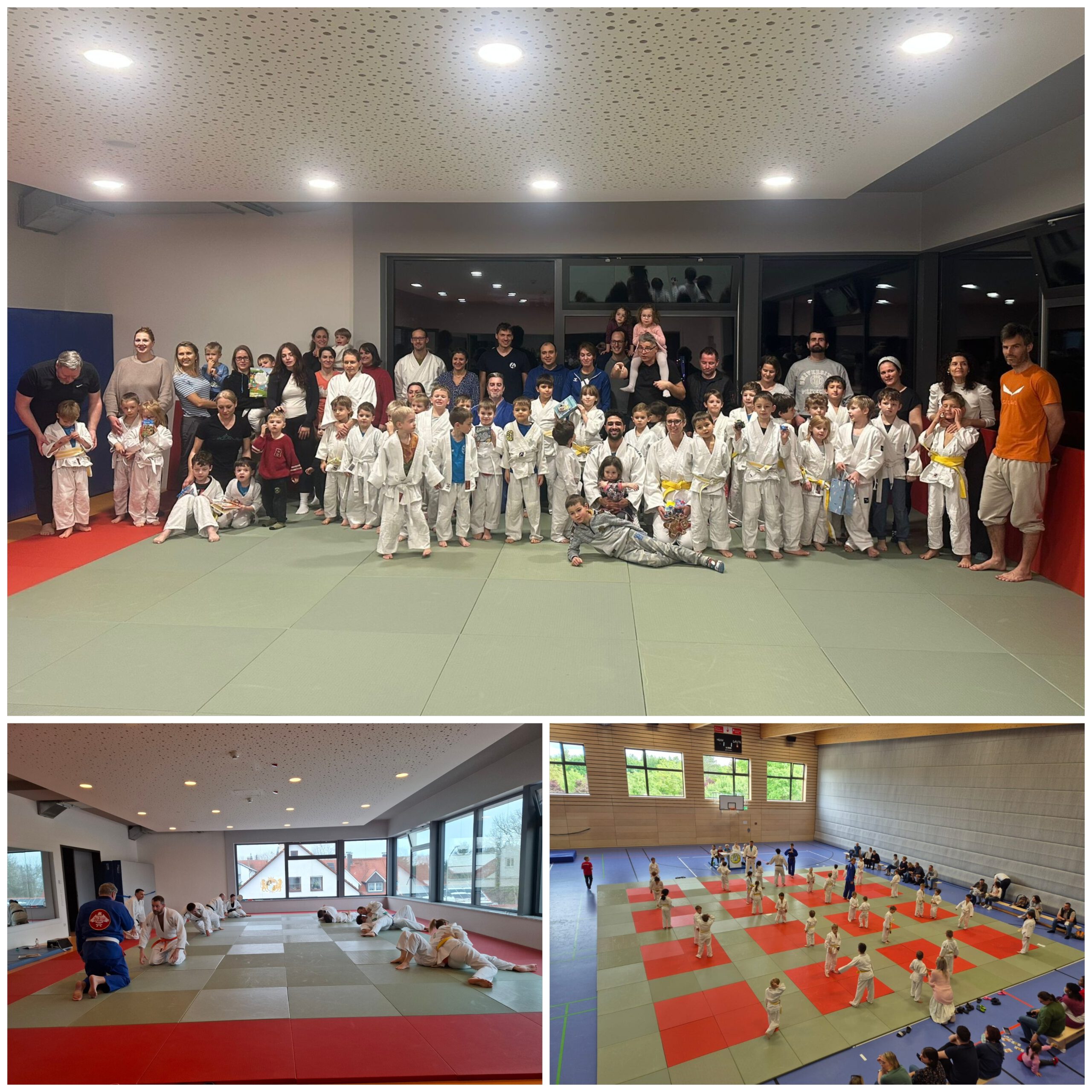 <strong>Judo boomt beim SV Haimhausen – starke Nachfrage in allen Altersklassen</strong>